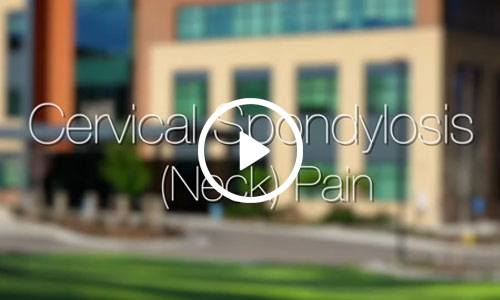Spondylosis / Neck Pain